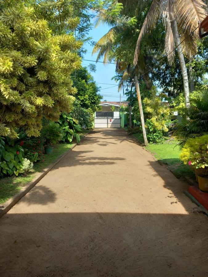 Shenya Villa ベントータ エクステリア 写真