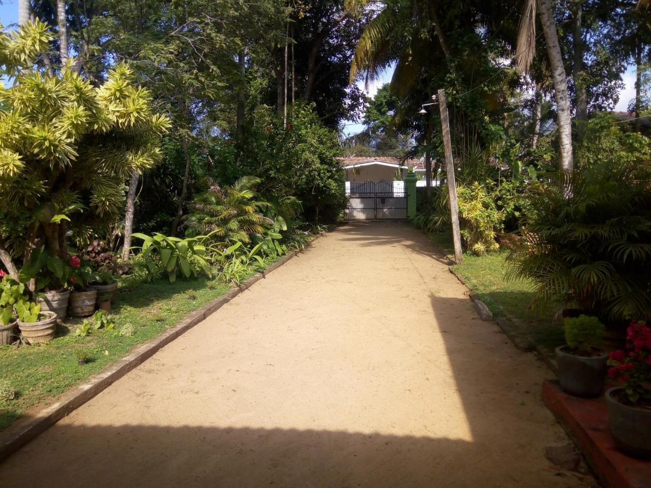 Shenya Villa ベントータ エクステリア 写真