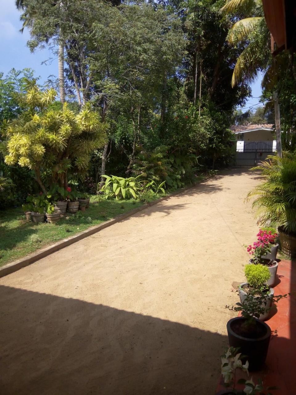Shenya Villa ベントータ エクステリア 写真